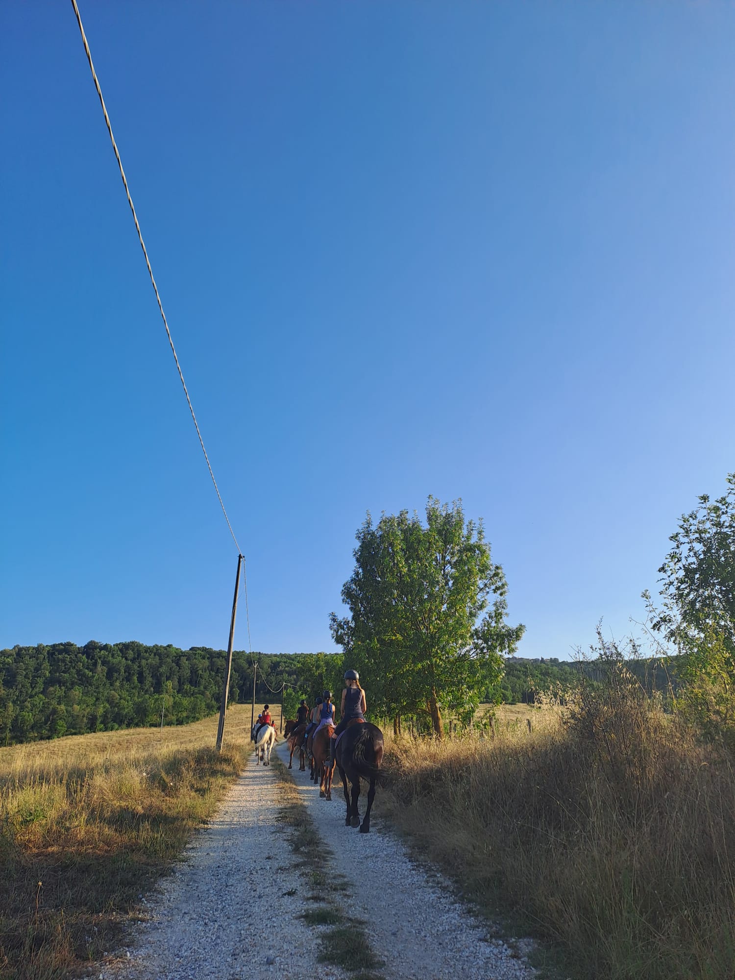 ragazzi a cavallo in campagna