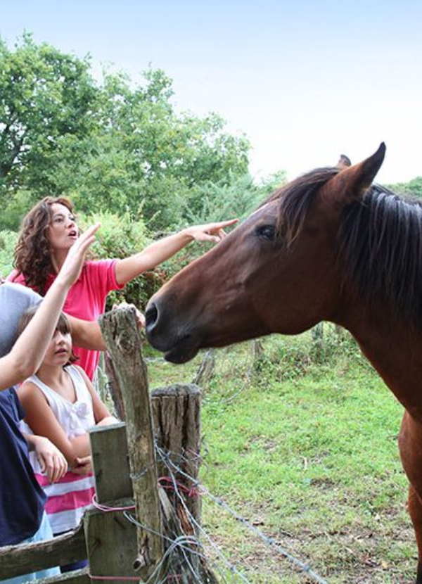 famiglia in campagna con cavallo