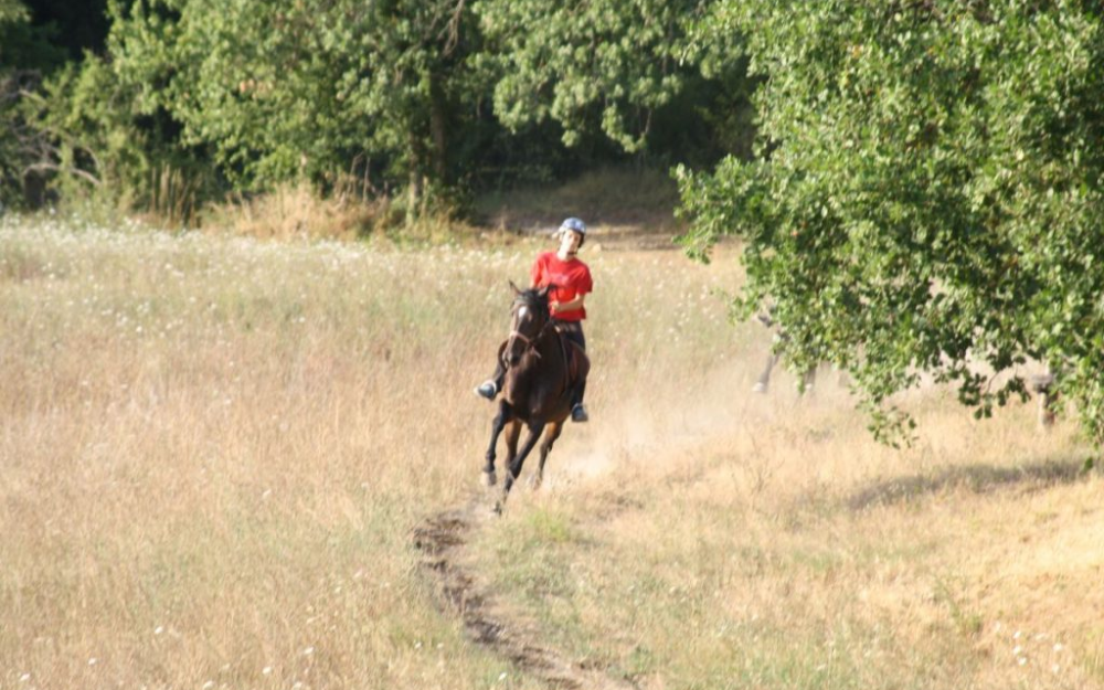 vacanze a cavallo